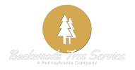 Backwoods tree service logo Full Color white