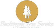 Backwoods tree service logo Full Color