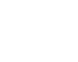 Backwoods tree service logo cta
